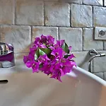 Splendor Vakantiehuis Monte Nai