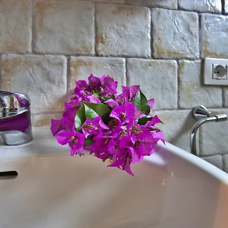 Villetta Splendor Holiday home Monte Nai